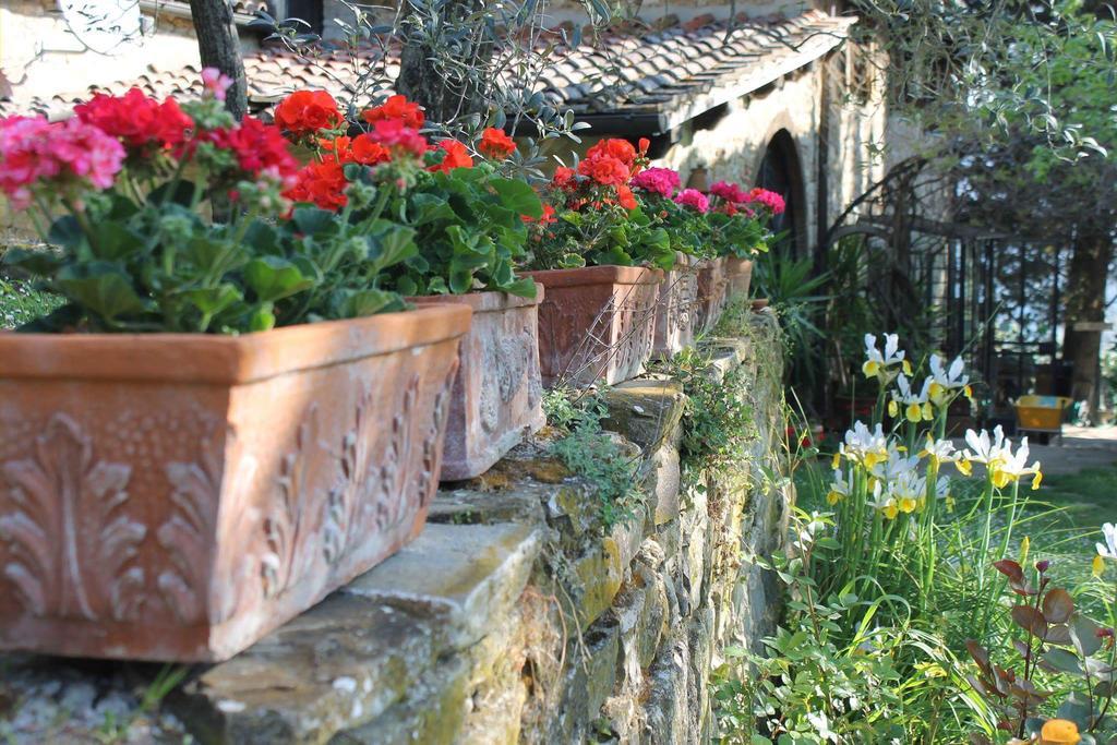 Casa Mezzuola Agriturismo Villa Greve in Chianti Exterior foto