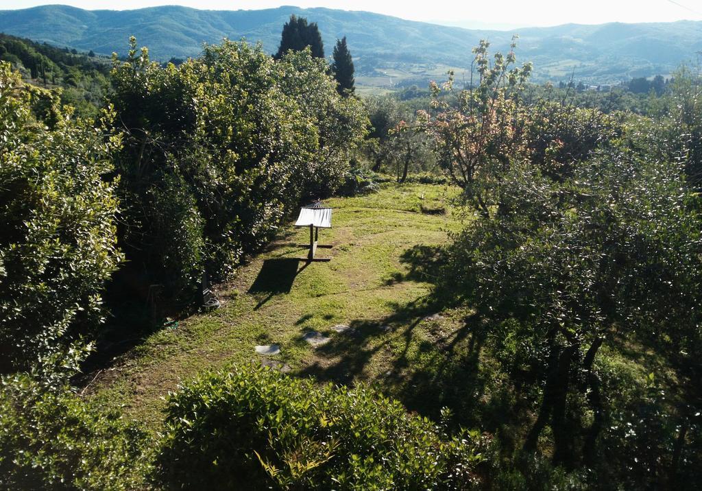 Casa Mezzuola Agriturismo Villa Greve in Chianti Exterior foto