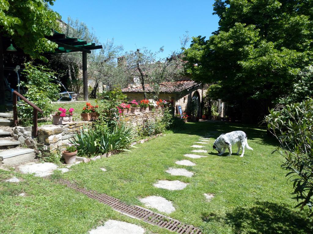 Casa Mezzuola Agriturismo Villa Greve in Chianti Exterior foto